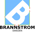 Brannstrom logo